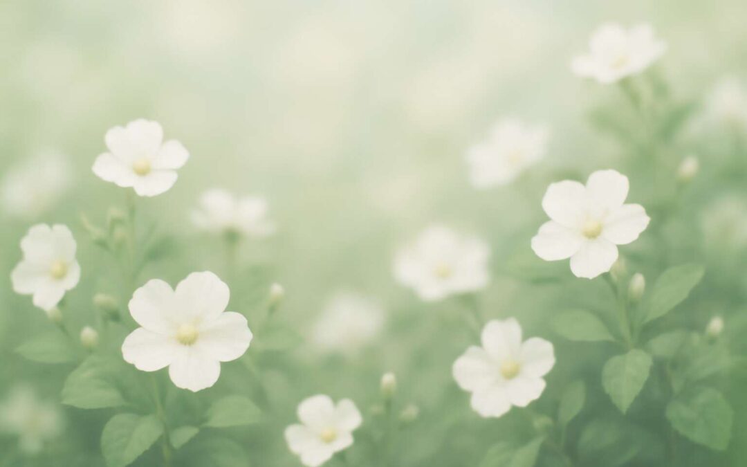 Serene White Flowers Background: A Stunning Floral Scene for Elegant Designs