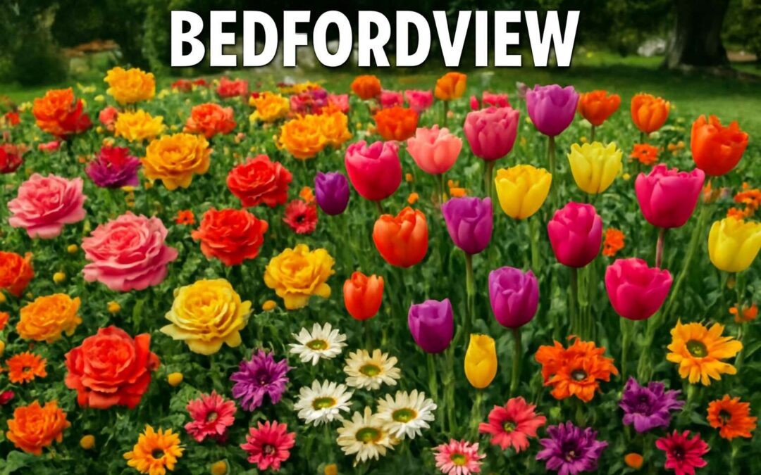 Beautiful Flower Bouquets and Gardens in Bedfordview: Your Ultimate Guide to Flowers Bedfordview