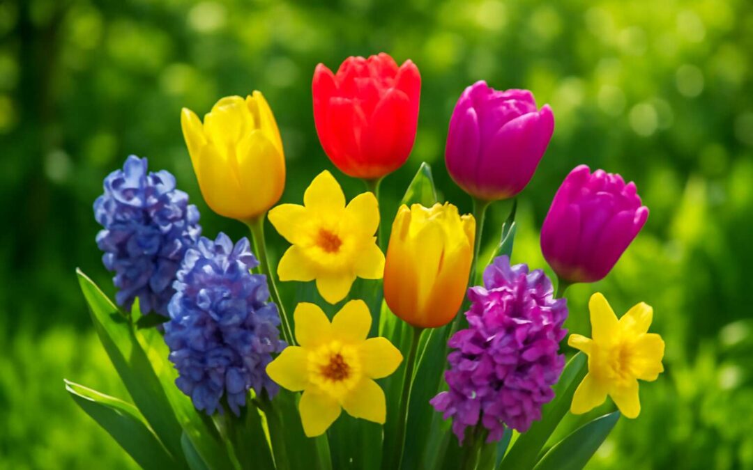 Vibrant Spring Flowers to Brighten Your Garden This Season