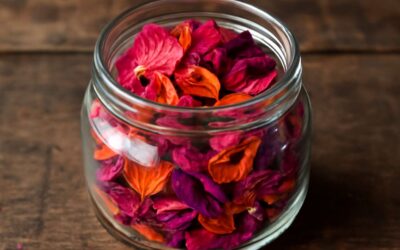 Creative Ways to Use Dried Flowers Petals in Home Decor and Crafts
