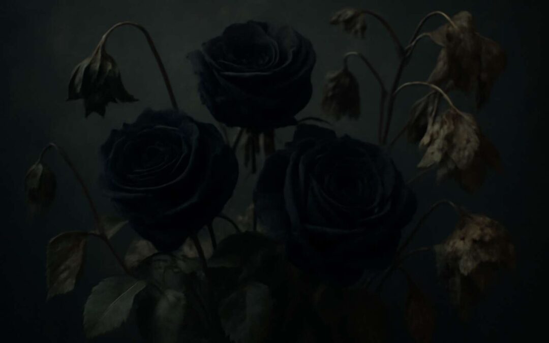 What Flowers Represent Death: The Hidden Meanings Behind Nature’s Most Symbolic Blooms