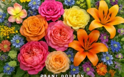 Flowers by Grant Donson: A Stunning Collection of Artistic Floral Designs