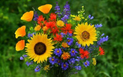 West Coast Flowers Update: Discover the Latest Bloom Trends and Stunning Arrangements for 2024