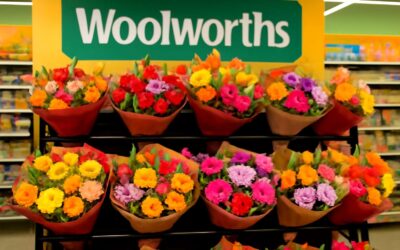 Discover the Latest Flowers Price at Woolworths and Brighten Your Day with Affordable Blooms