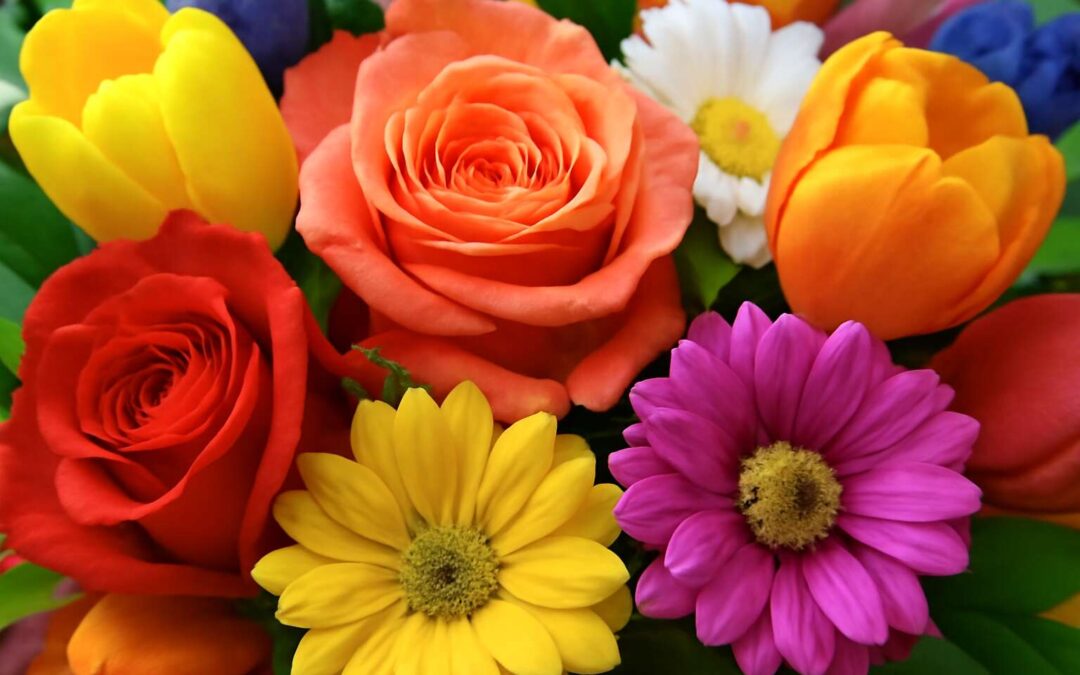 Stunning Flowers Pics to Brighten Your Day and Celebrate Nature’s Beauty
