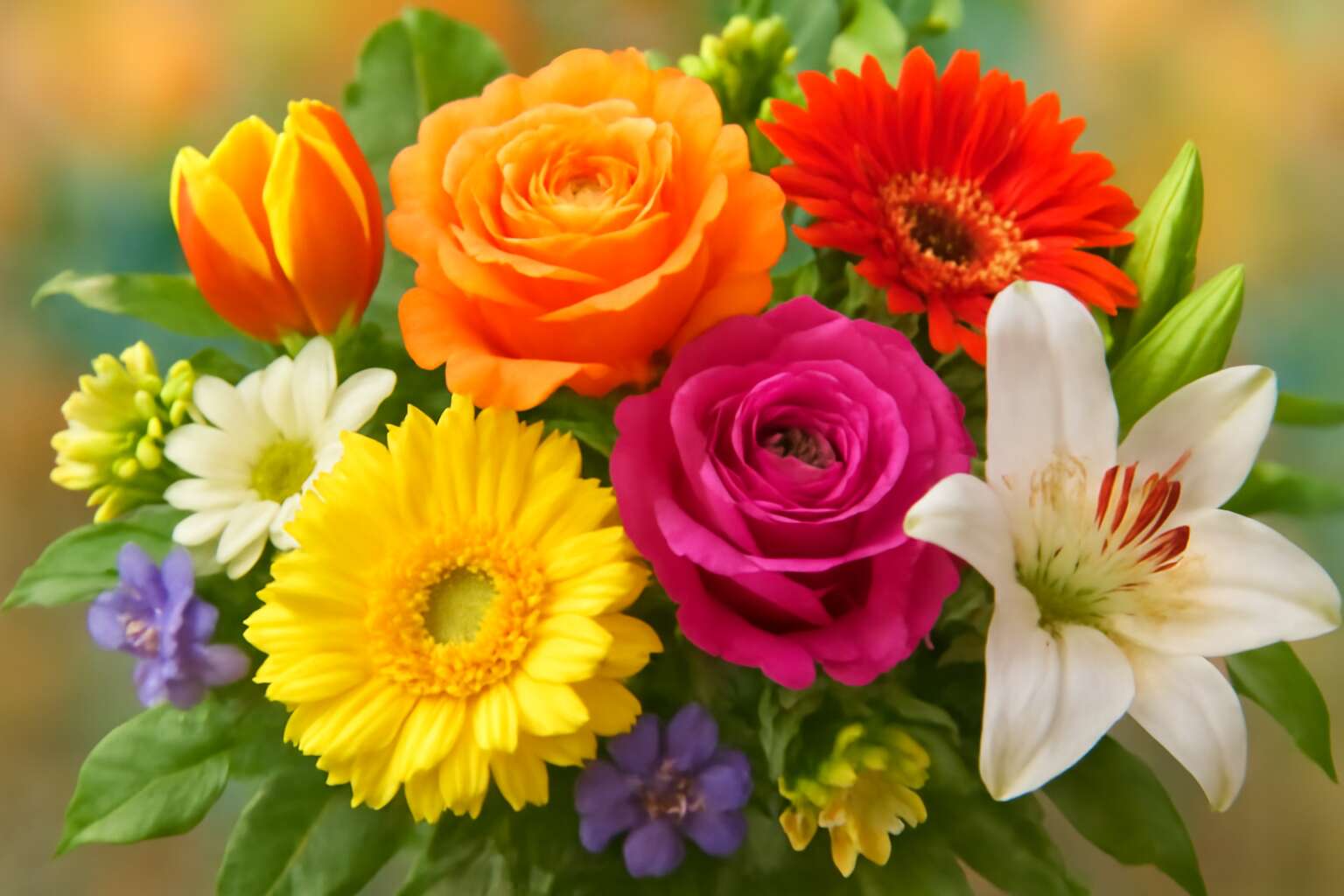 Discover the Beauty and Benefits of What Are Flowers: Nature's Colorful ...