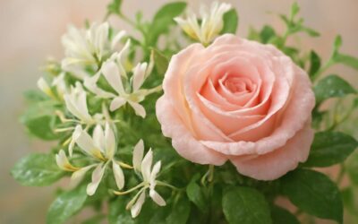 June Birth Flowers: Discover the beauty of birth flowers for june and their meanings.