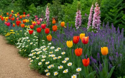Enchanting blooms: a vibrant flowers border that frames your garden beautifully