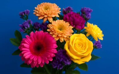 Stunning flowers with blue background illuminate a vibrant garden of contrast.
