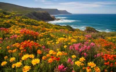 Coastal Blooms Unveiled: Explore flowers hermanus and vibrant seaside blossoms.