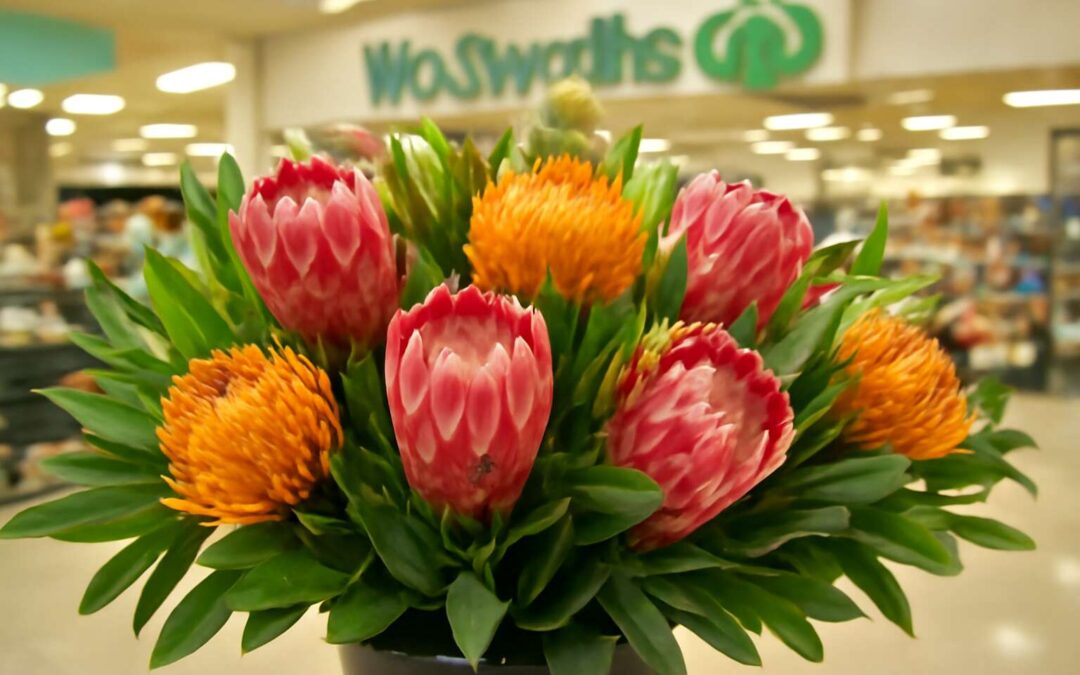 Shop protea flowers woolworths: bold blooms to brighten any space
