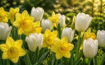Yellow and white flowers create striking contrast in garden beds.