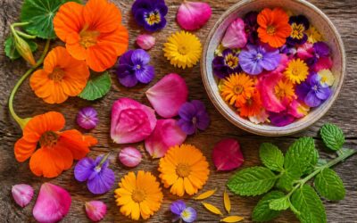 What flowers are edible? Learn to identify safe blooms for cooking.